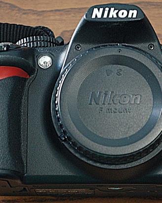 Nikon D3100