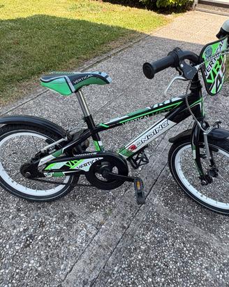Bicicletta Bambino Rondine 16”