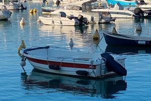 BARCA A MOTORE A LERICI