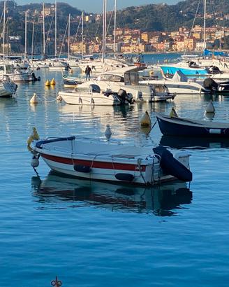 BARCA A MOTORE A LERICI
