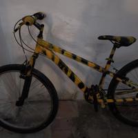 bici usata