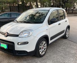 FIAT Panda 3ª serie - 2022