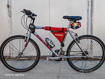 Bicicletta Eurosport Vintage accessoriata