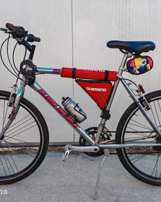 Bicicletta Eurosport Vintage accessoriata