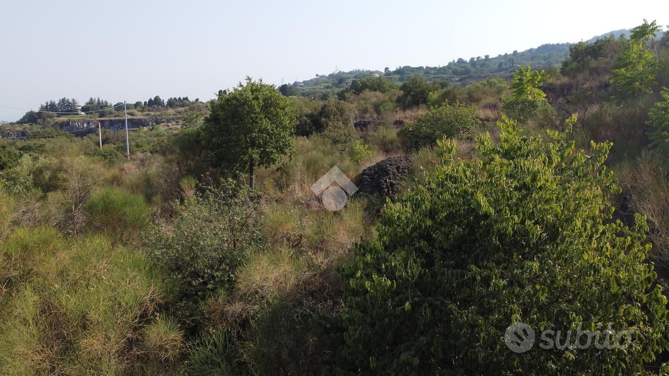 TER. AGRICOLO A MASCALI - Vista 2