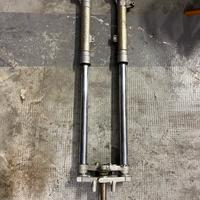 forcella paioli hm 50