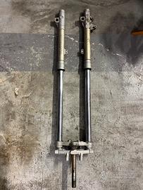 forcella paioli hm 50