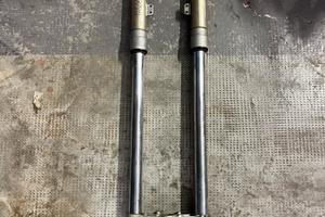 forcella paioli hm 50