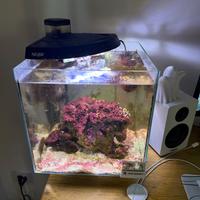 Acquario Newa More 30R – Codice NMO 30R