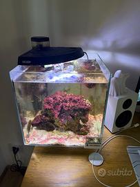 Acquario Newa More 30R – Codice NMO 30R