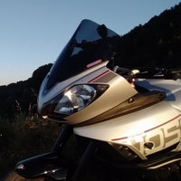 Cupolino Fabbri Triumph Tiger Sport e Tiger 1050