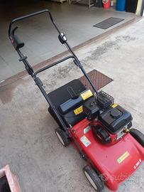 Arieggiatore Briggs & Stratton