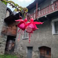 CASA DI CORTE A ARVIER