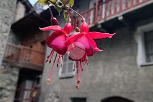 CASA DI CORTE A ARVIER