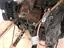 Immagine 7