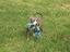Immagine 14