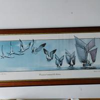 quadro uccello barca a vela