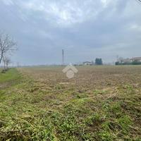 TER. AGRICOLO A CASTELFRANCO VENETO