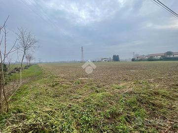 TER. AGRICOLO A CASTELFRANCO VENETO