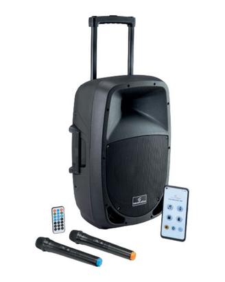 CASSA  A BATTERIA + 2 RADIOMICROFONI (GO SOUND 12A