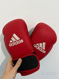 Guanti da Boxe trattabili