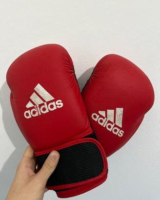 Guanti da Boxe trattabili
