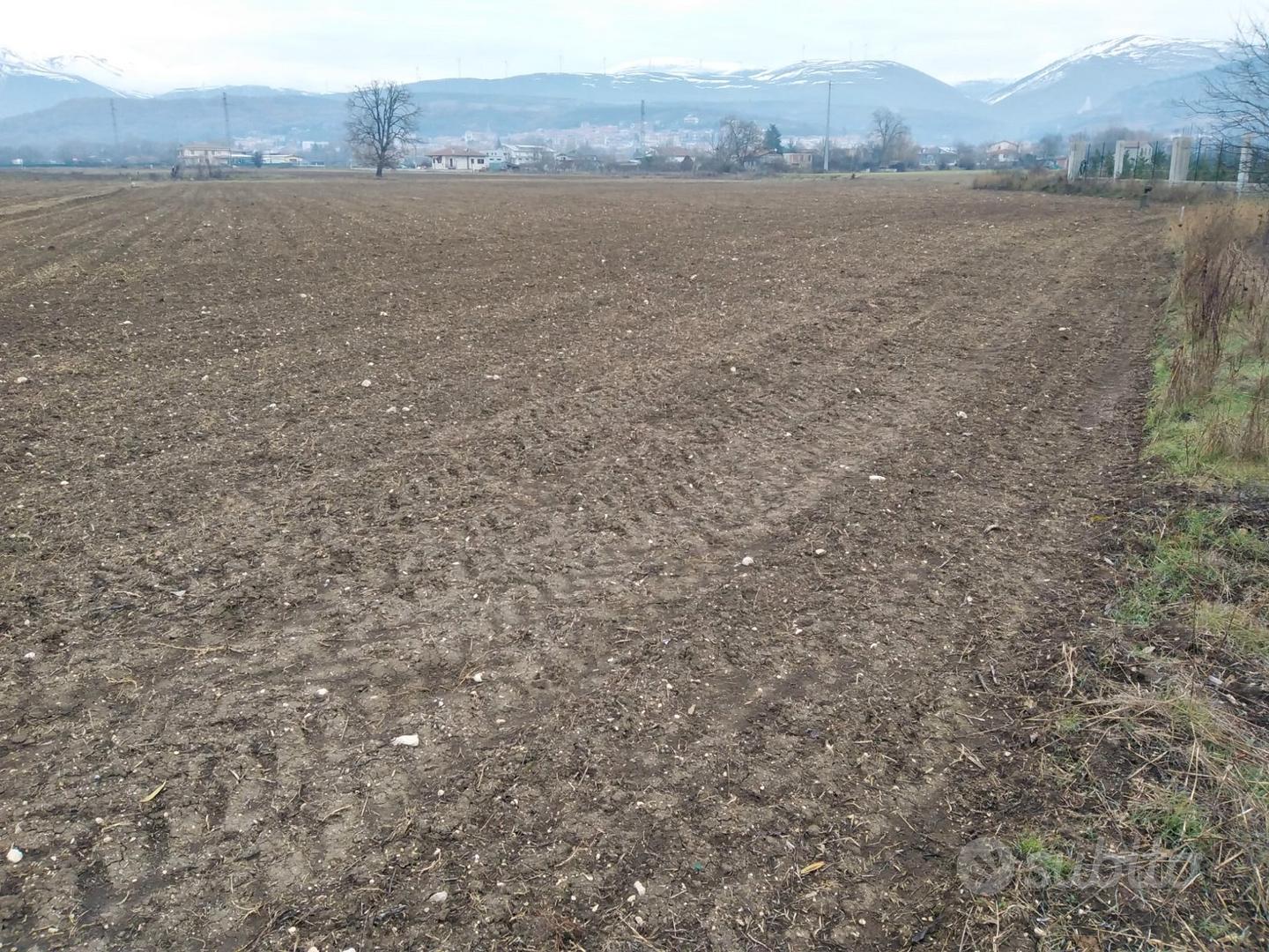 Terreno ad uso agricolo - Vista 3