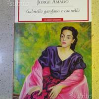 Jorge amado Gabriella garofano e cannella