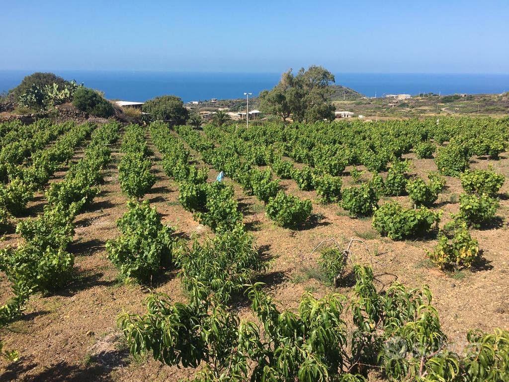 Pantelleria - Piccolo Dammuso a Favarotta - Vista 2