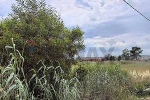 Terreno - Catania