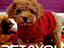 Immagine 16