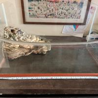 Tartarughiera in vetro perfetta con accessori