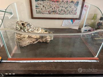 Tartarughiera in vetro perfetta con accessori