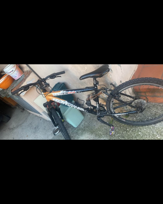 Bicicletta uomo