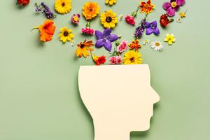 Studio in subaffitto/condivisione