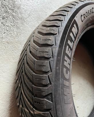 Gomme miltistagione