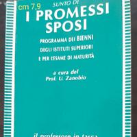 I promessi sposi (sunto)