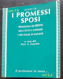 I promessi sposi (sunto)