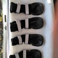 stivaletti impermeabili cane