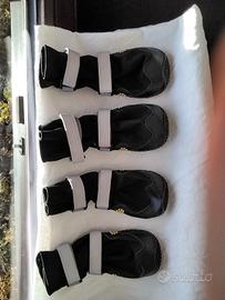 stivaletti impermeabili cane