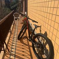 Specialised stumpjumper