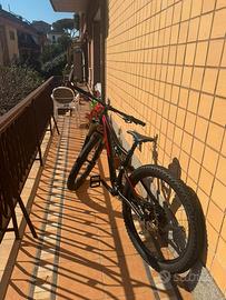 Specialised stumpjumper