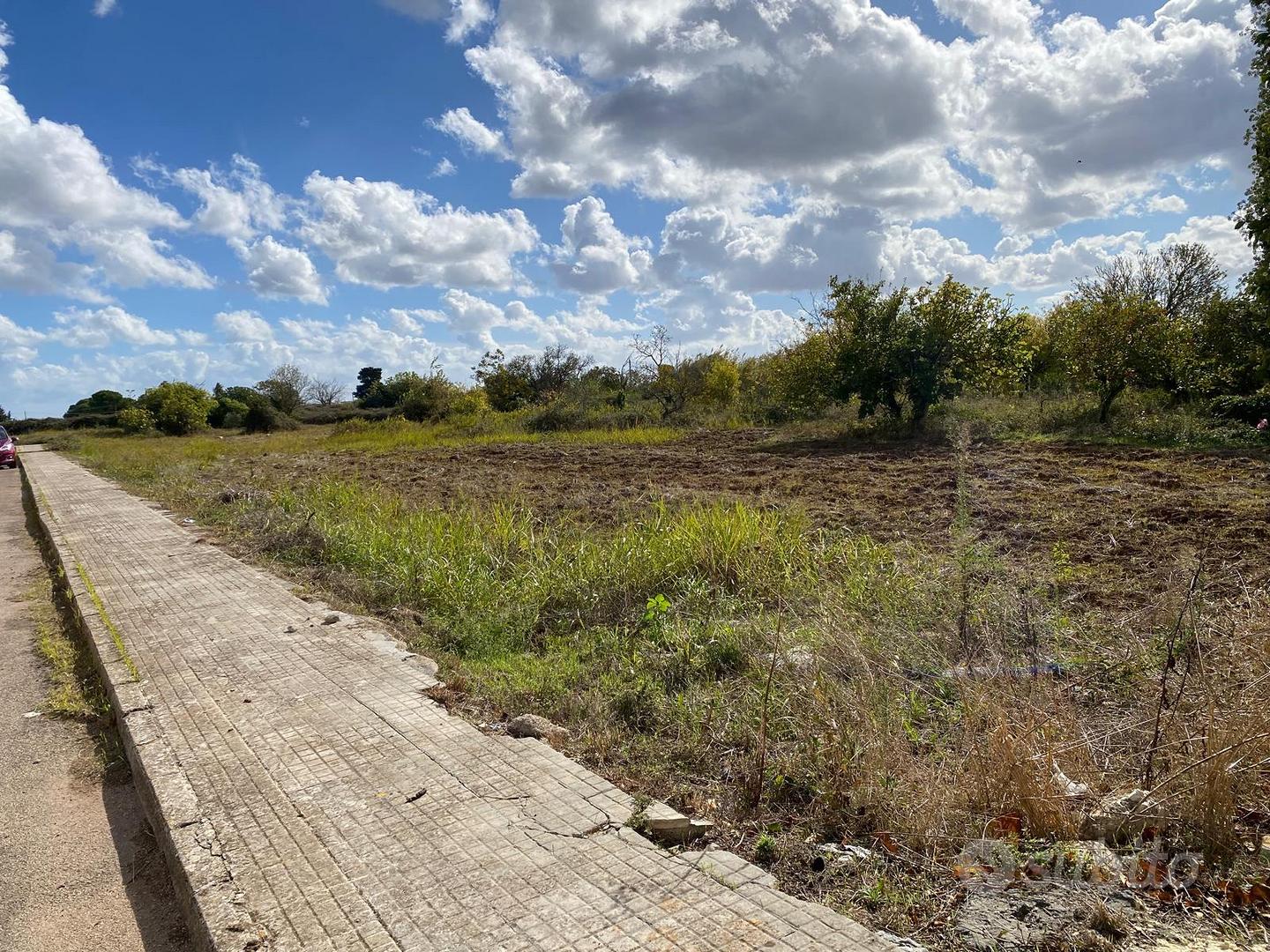 Terreno da lottizzare (C1) - Vista 5