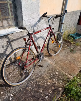 bici da MTB