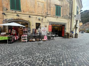 Locale commerciale - Nemi