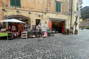 Locale commerciale - Nemi