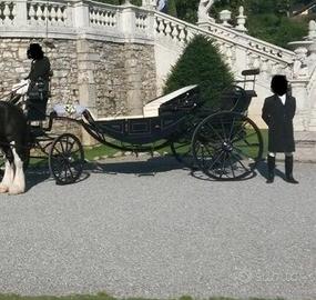 carrozza cales su cinghie