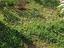 Immagine 13