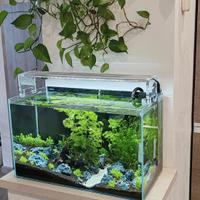 lampada aqpet 60 cm 