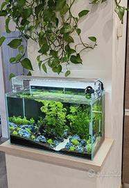 lampada aqpet 60 cm 
